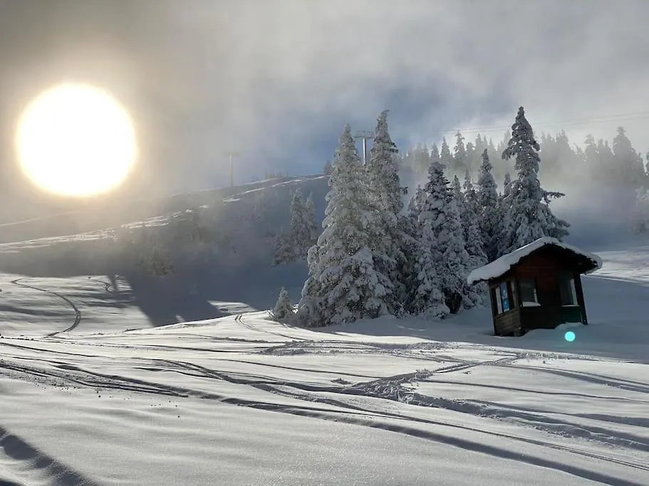 Studio Cosy Au Pied Des Pistes Villard-de-Lans France